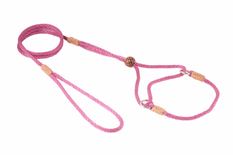 Nylon Martingale Leads (8in x 1/8in or 4mm)