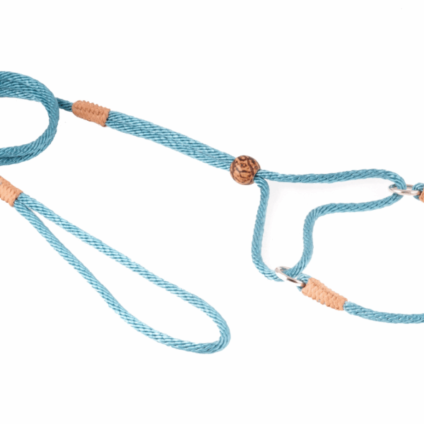 Nylon Martingale Leads (8in x 1/8in or 4mm)