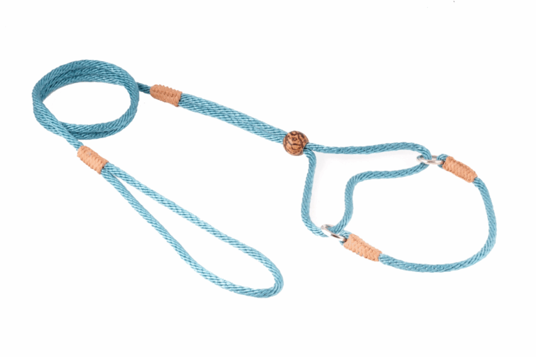Nylon Martingale Leads (8in x 1/8in or 4mm)