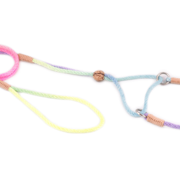 Nylon Martingale Leads (8in x 1/8in or 4mm)