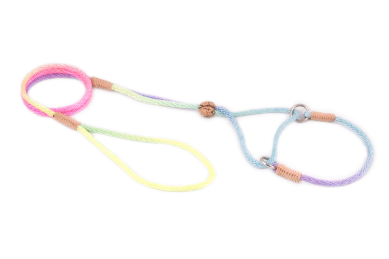Nylon Martingale Leads (8in x 1/8in or 4mm)