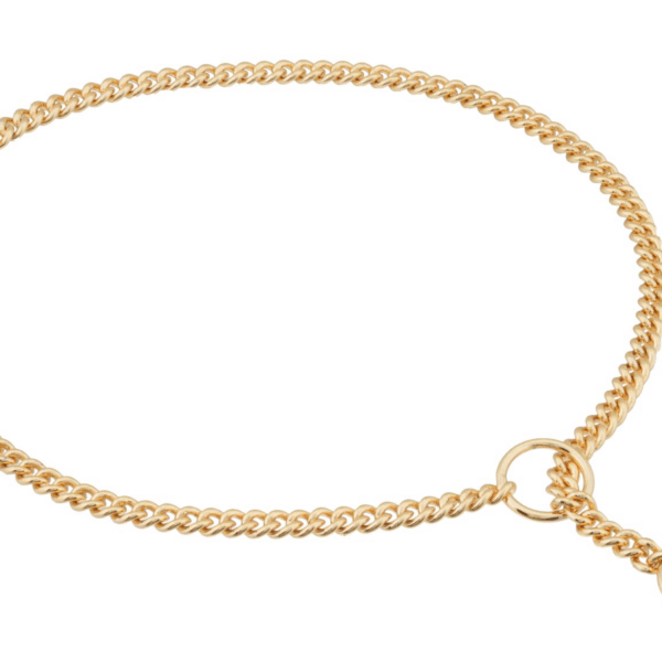 Slip Curve Show Chain Collar (14 in x 1.6 mm)