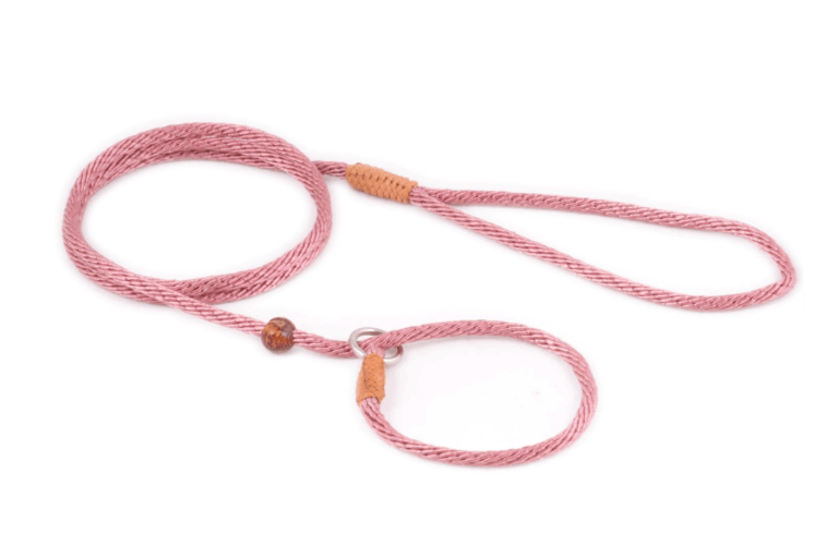 Nylon Slip Lead With Stopper (4 ft  x 1/8in or 4mm)