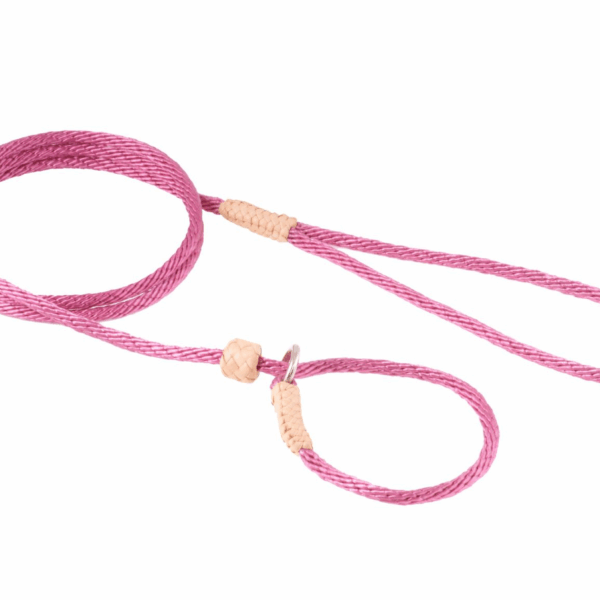 Nylon Slip Lead With Stopper (4 ft  x 1/8in or 4mm)