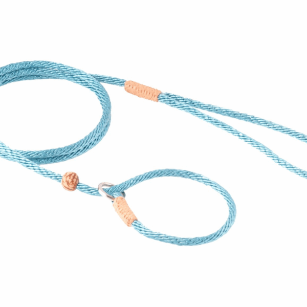 Nylon Slip Lead With Stopper (4 ft  x 1/8in or 4mm)