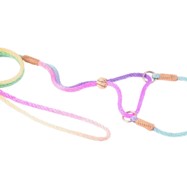 Nylon Martingale Leads (10in x 1/8in or 4mm)