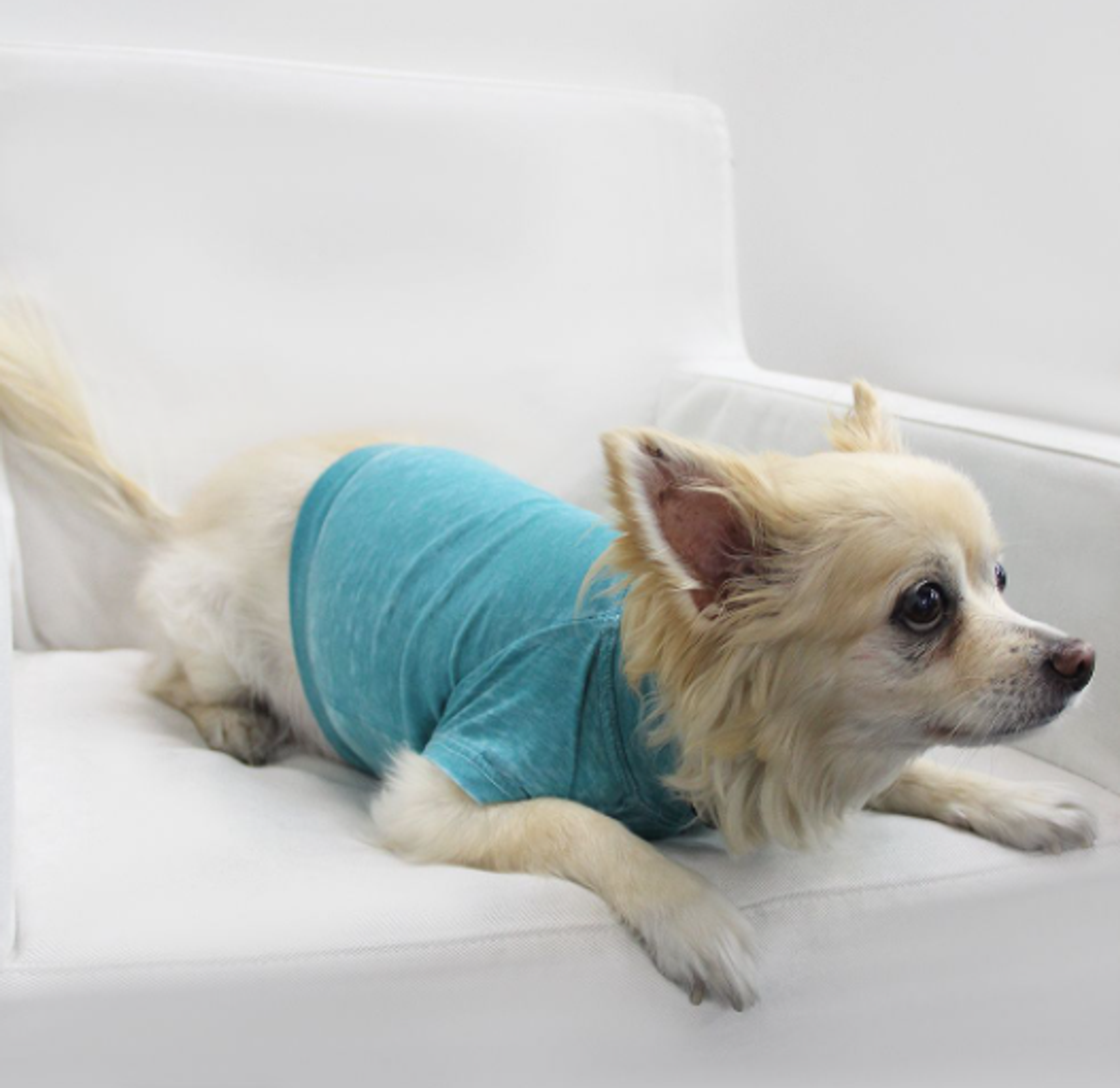 Doggy Tee