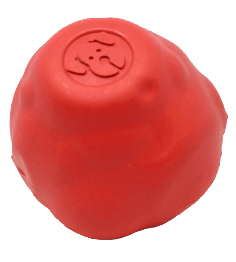 SN Asteroid Ultra Durable Rubber Chew Toy