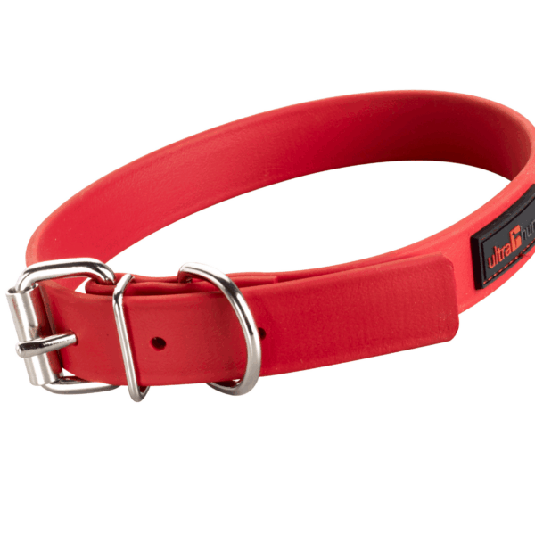 Play Regular Collar