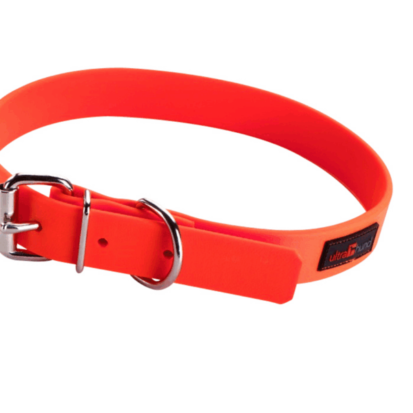 Play Regular Collar