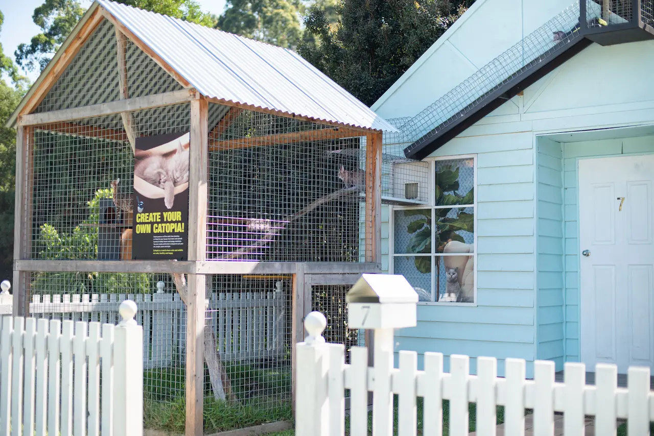 Cat Enclosure Outdoors